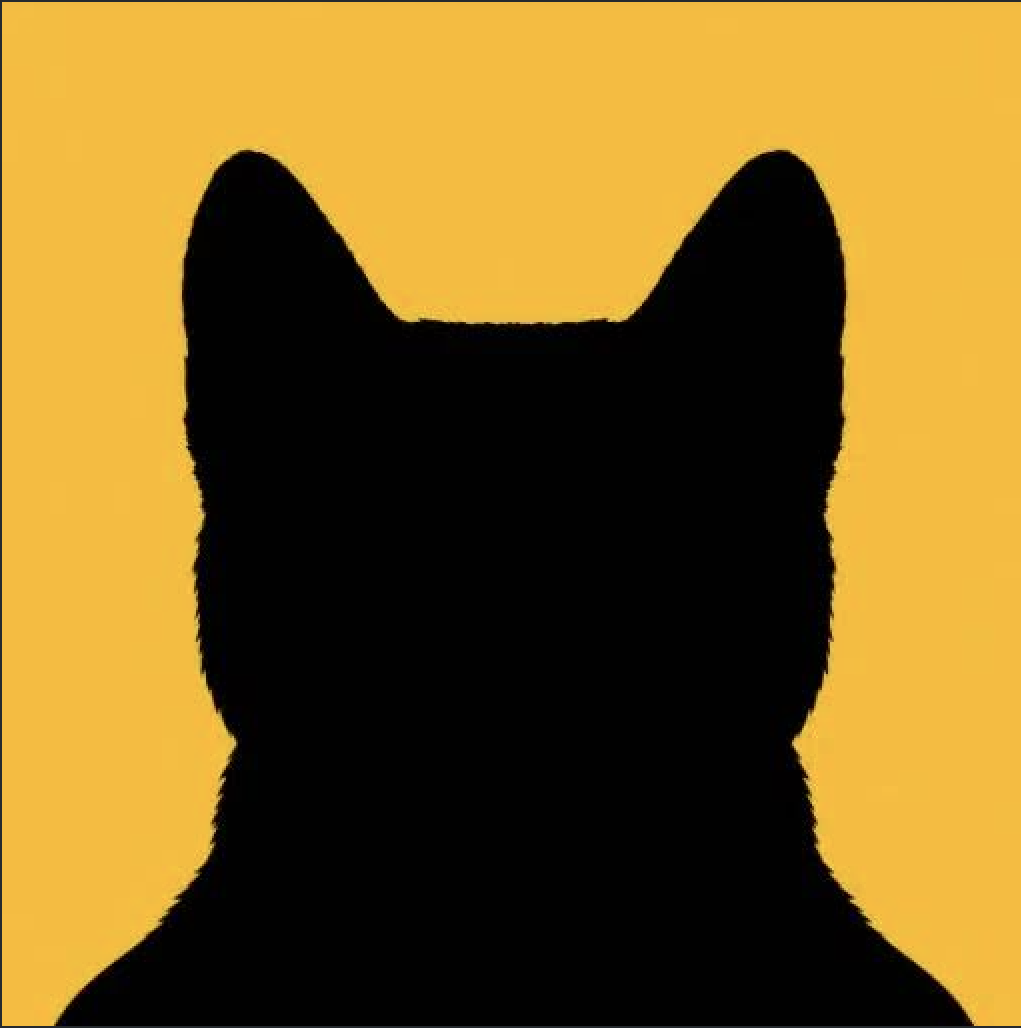 ANON mascot: black cat silhouette on Zcash gold